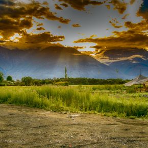 Landscape